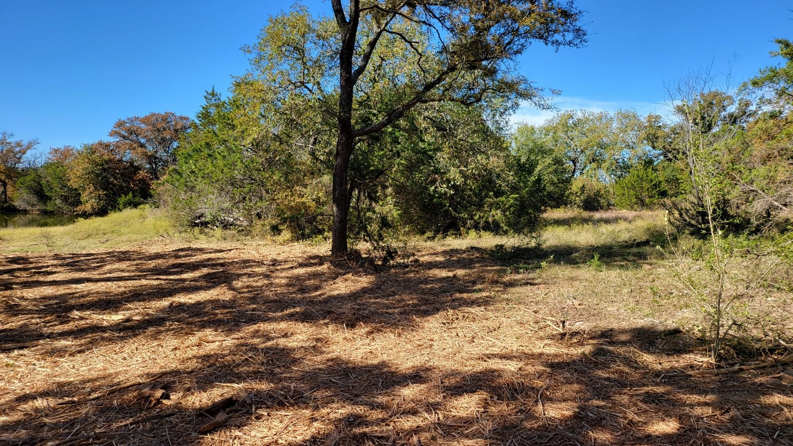 130 New Hope Lane Palo Pinto TX 76484