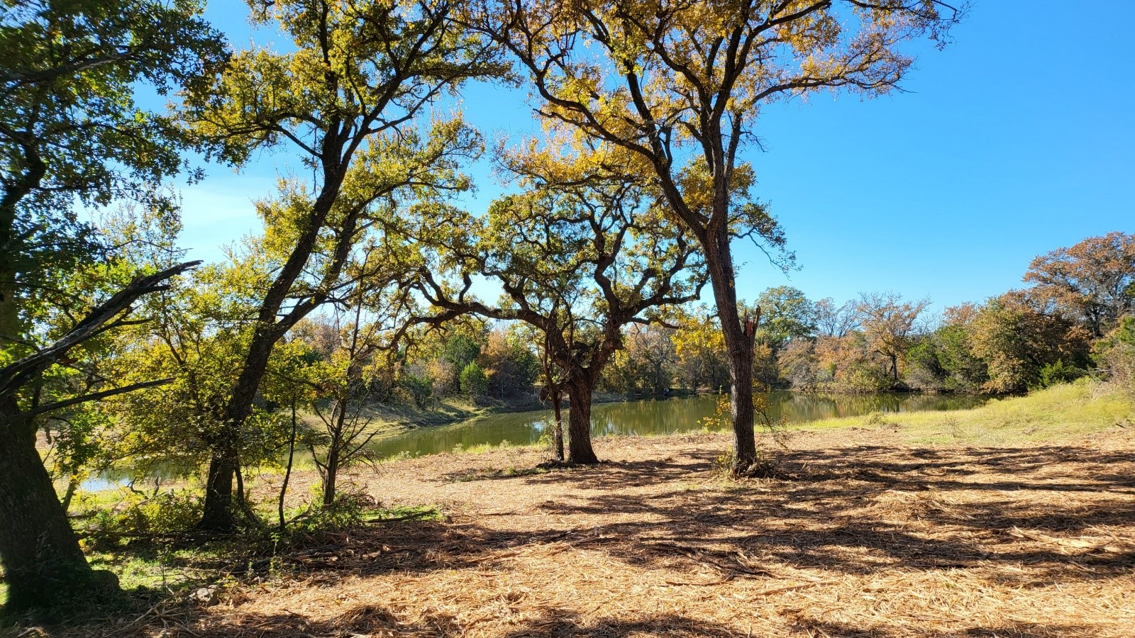 130 New Hope Lane Palo Pinto TX 76484