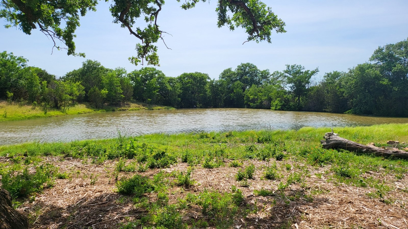 130 New Hope Lane Palo Pinto TX 76484