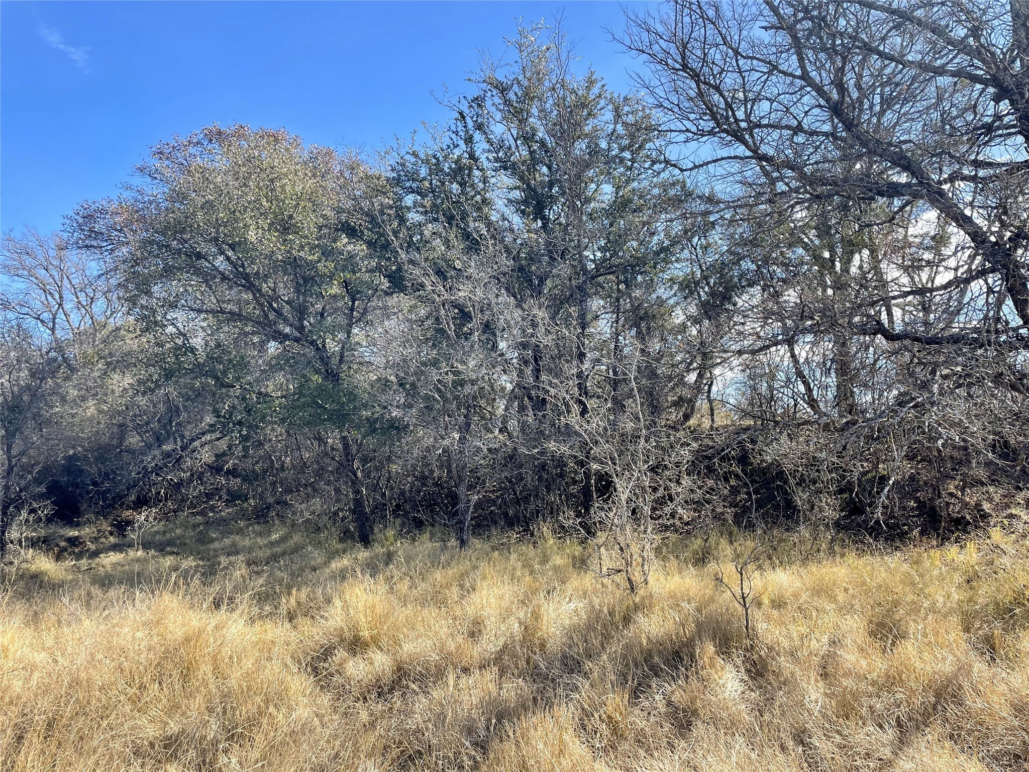 130 New Hope Lane Palo Pinto TX 76484