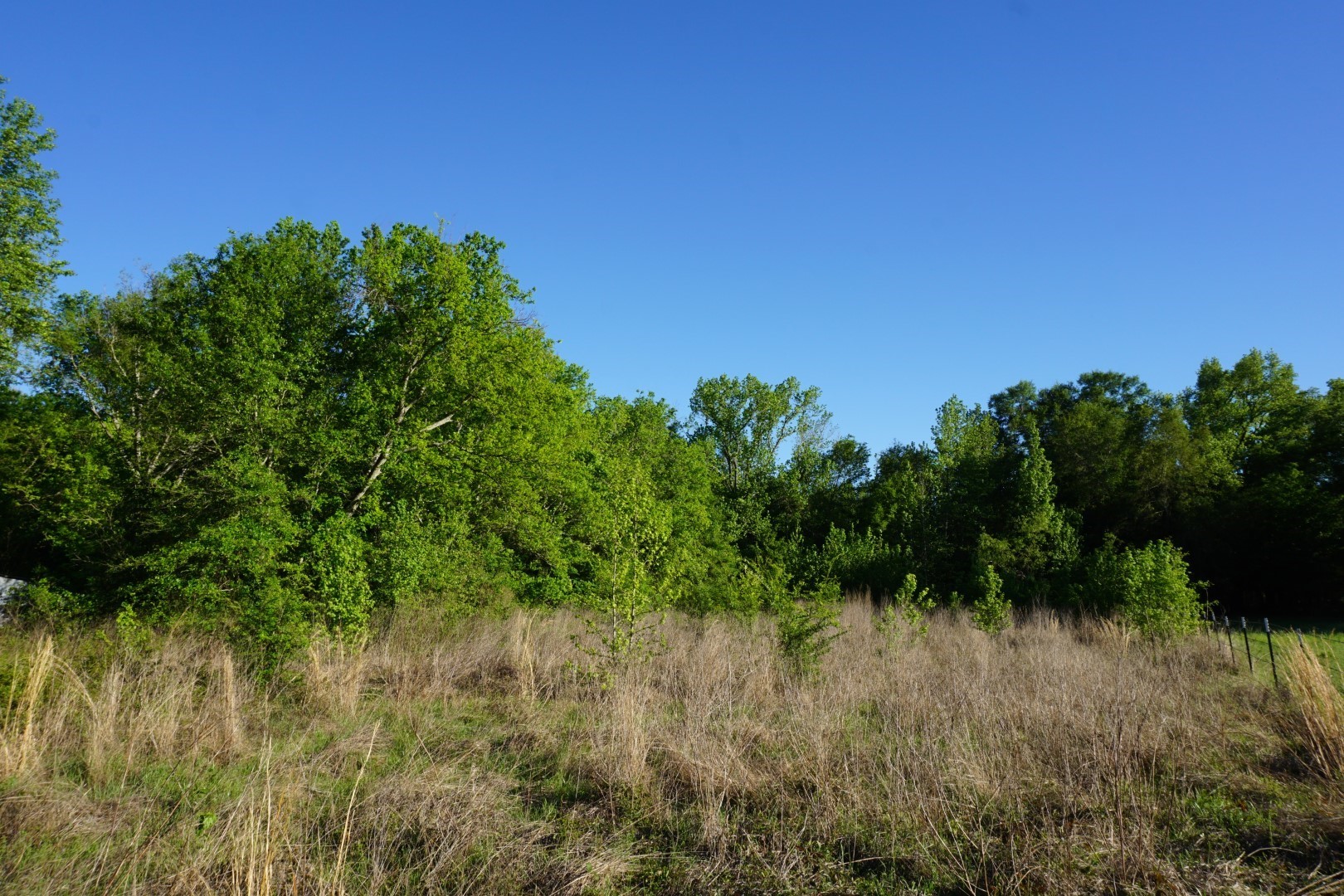 6902 Stella Street Murchison TX 75778