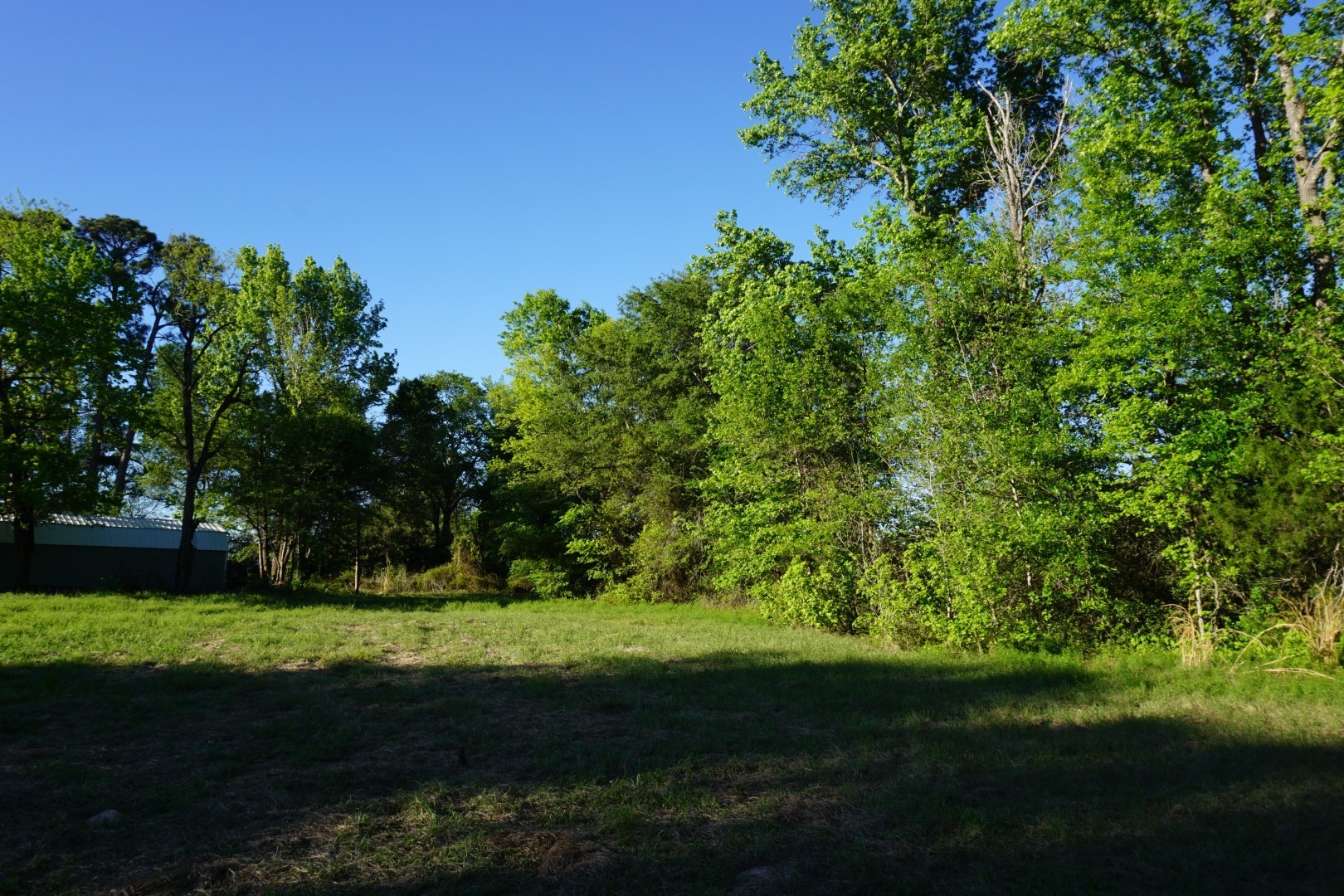 6902 Stella Street Murchison TX 75778