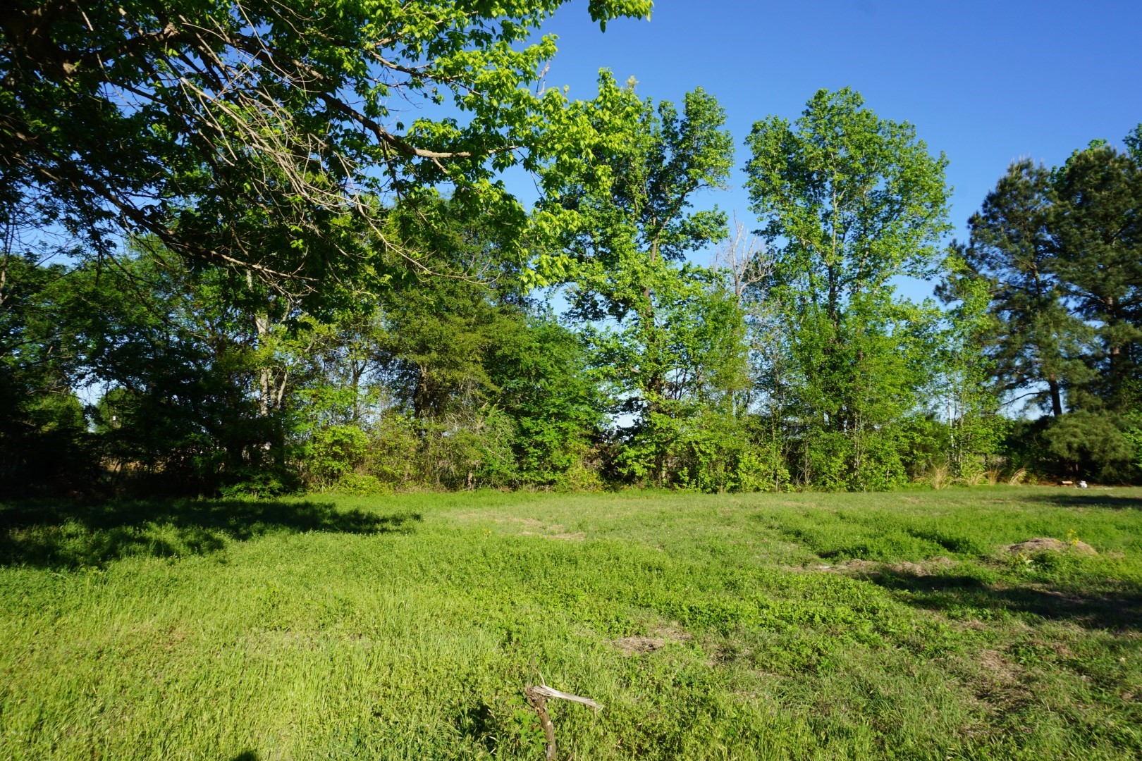 6902 Stella Street Murchison TX 75778