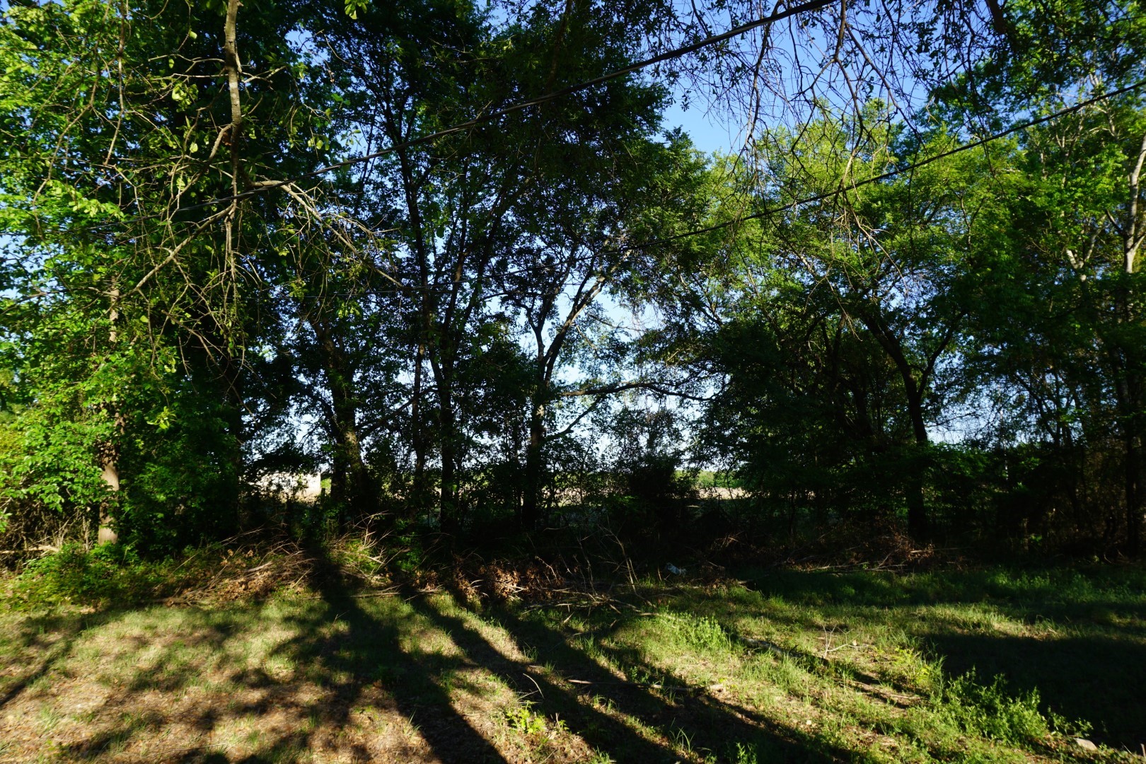 6902 Stella Street Murchison TX 75778
