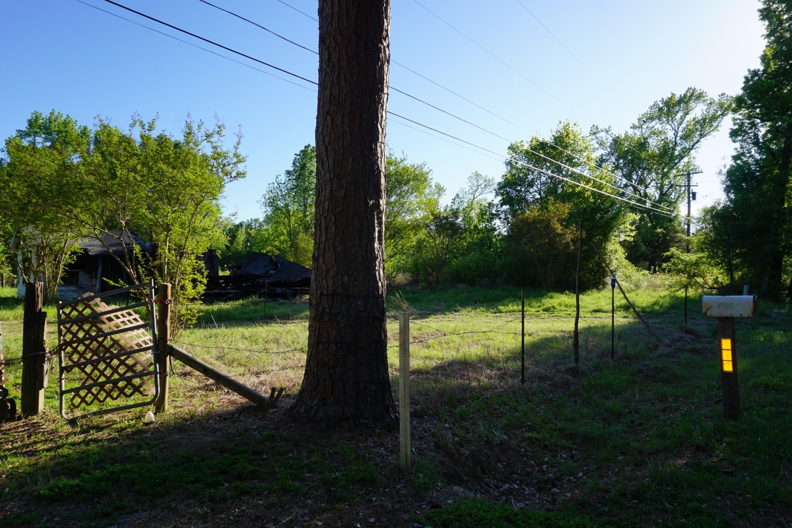 6902 Stella Street Murchison TX 75778