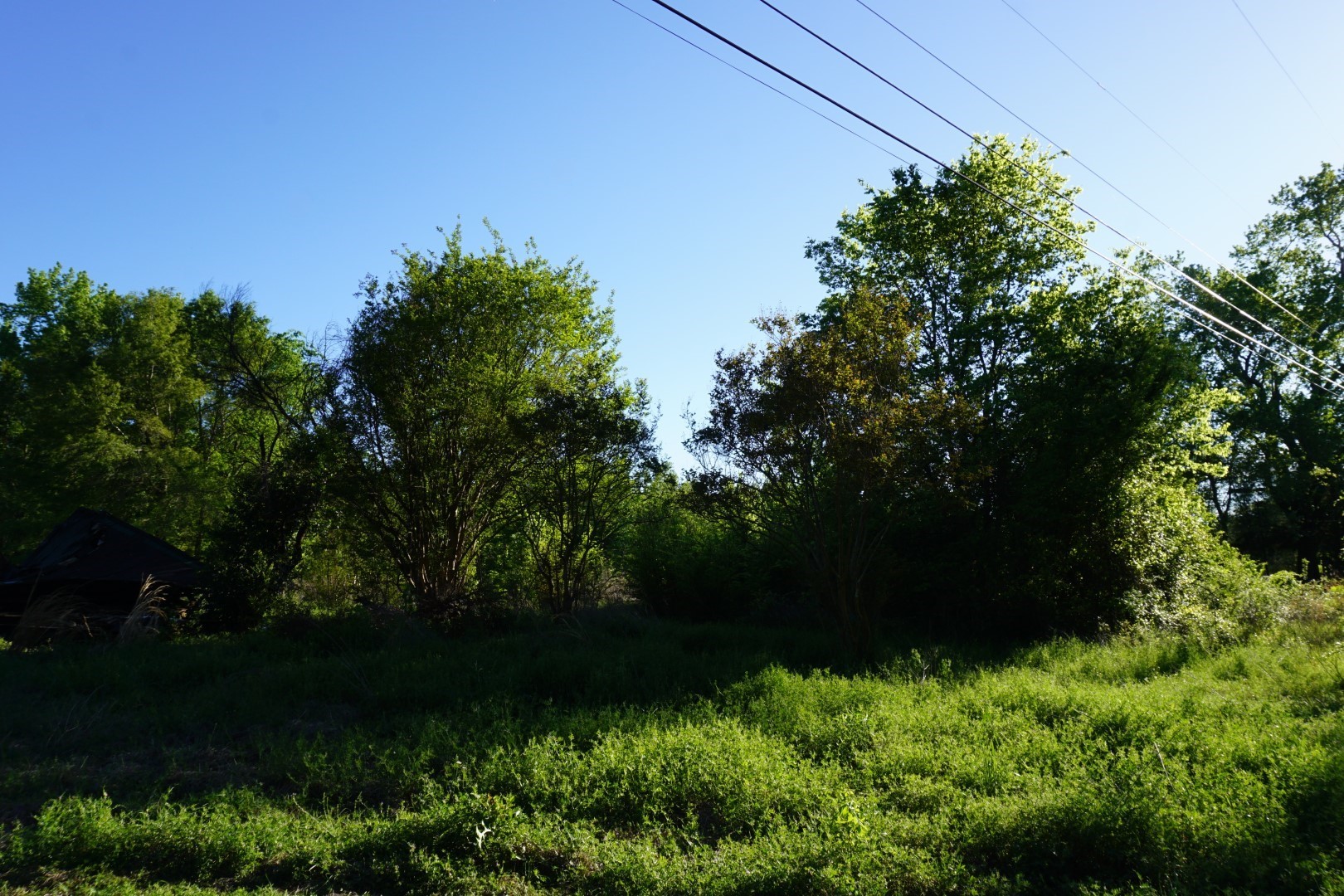 6902 Stella Street Murchison TX 75778