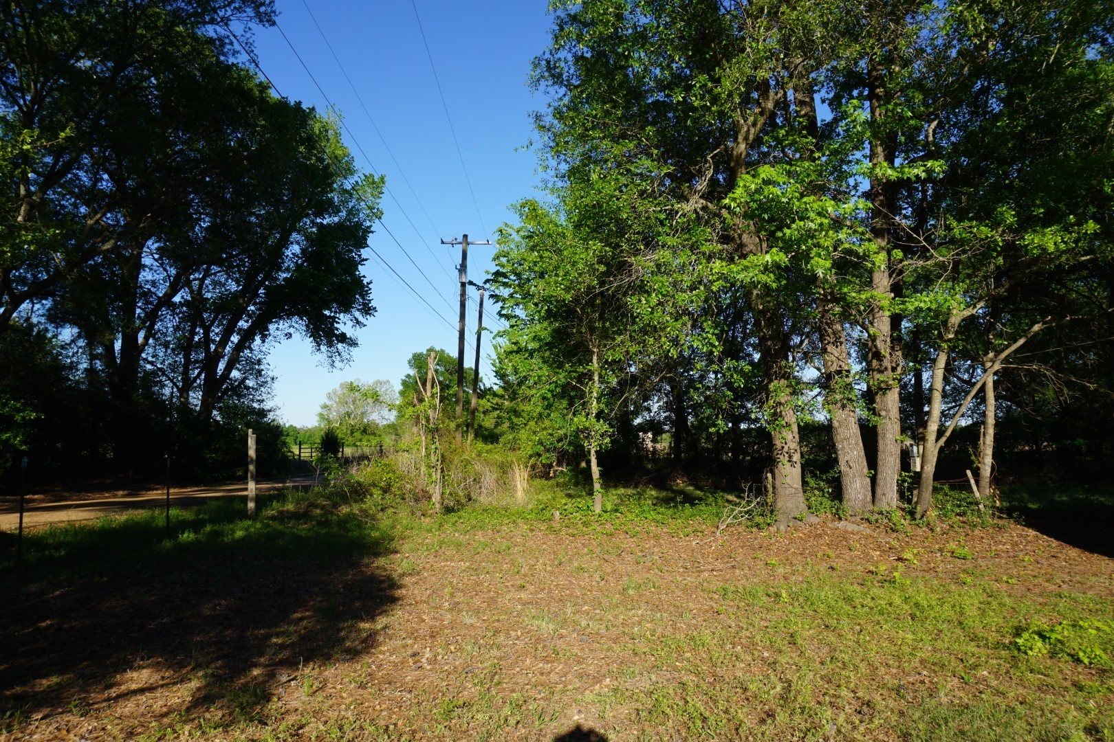 6902 Stella Street Murchison TX 75778