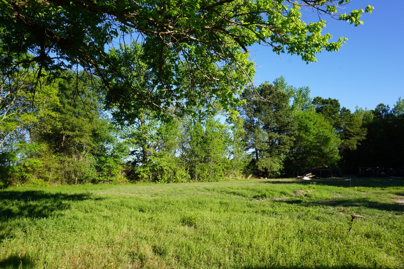 6902 Stella Street Murchison TX 75778