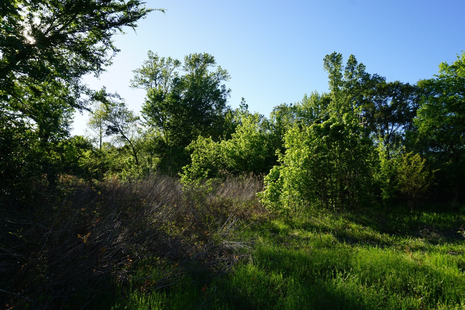 6902 Stella Street Murchison TX 75778