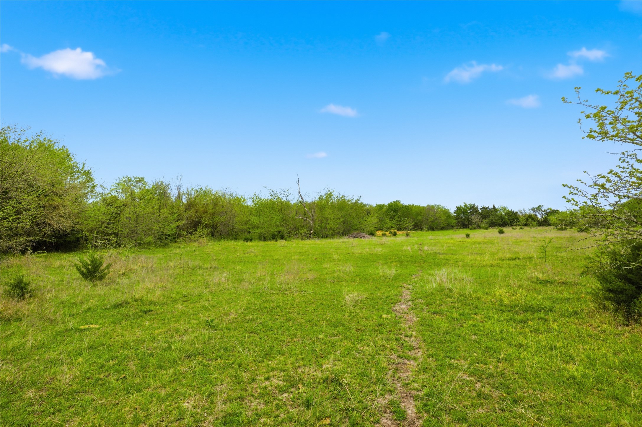 Tbd County Road 4809 Commerce TX 75428