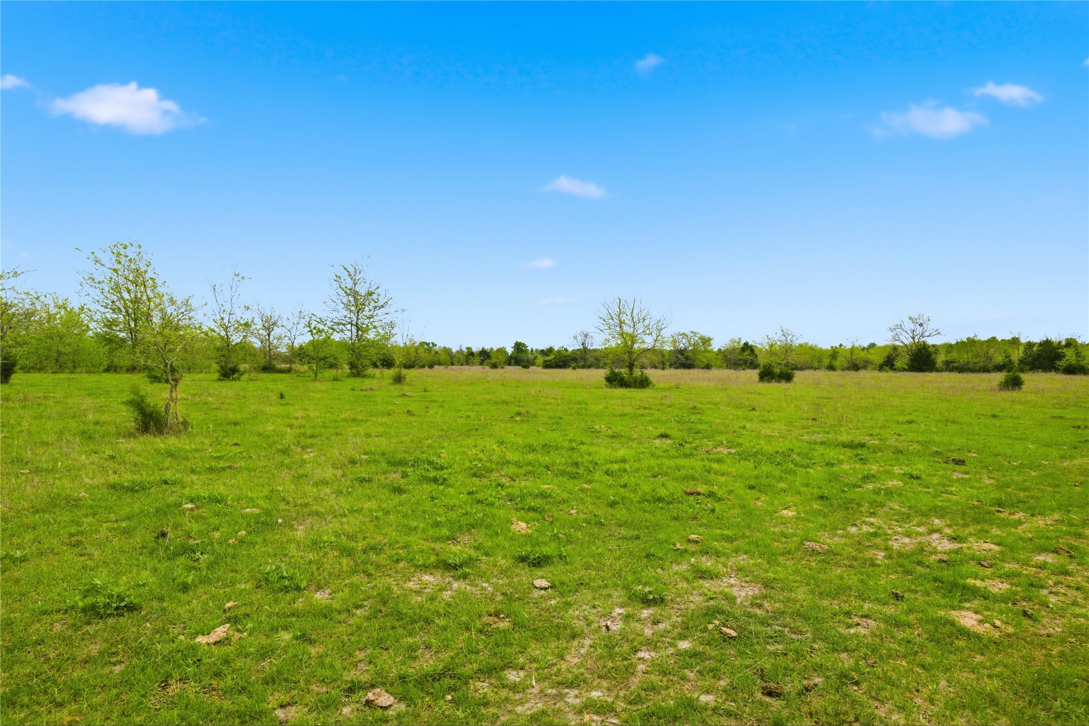 Tbd County Road 4809 Commerce TX 75428