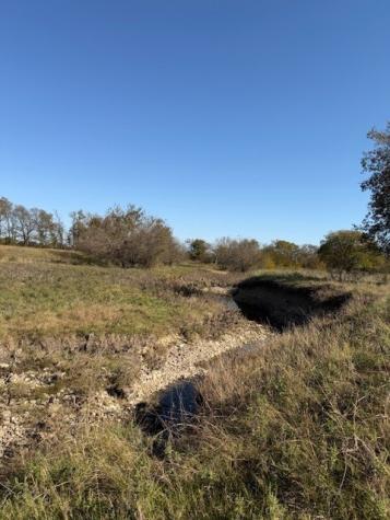 124.75AC Donald Road Krum TX 76249