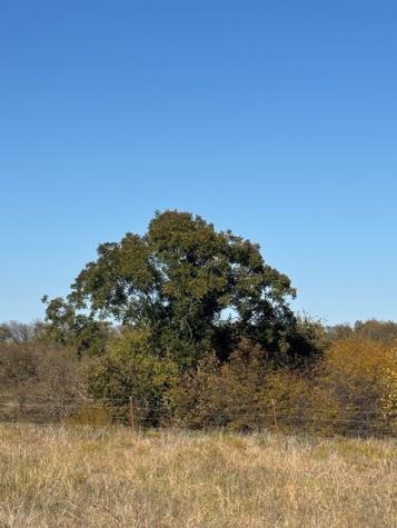 124.75AC Donald Road Krum TX 76249