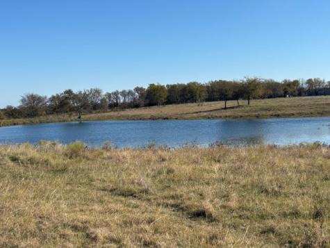 124.75AC Donald Road Krum TX 76249