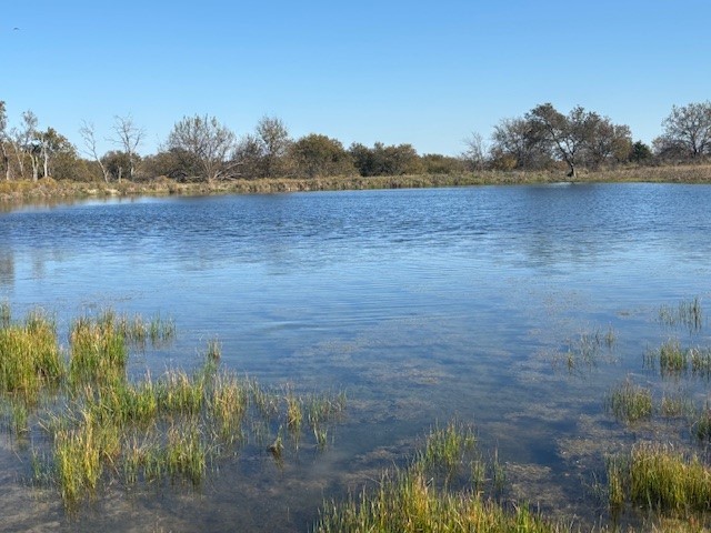 124.75AC Donald Road Krum TX 76249