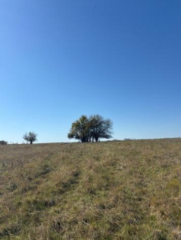 124.75AC Donald Road Krum TX 76249
