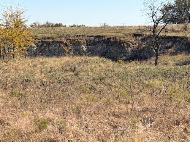 124.75AC Donald Road Krum TX 76249