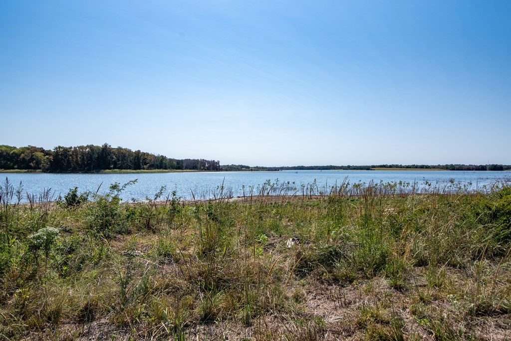 371 Lakewood Lane Honey Grove TX 75446