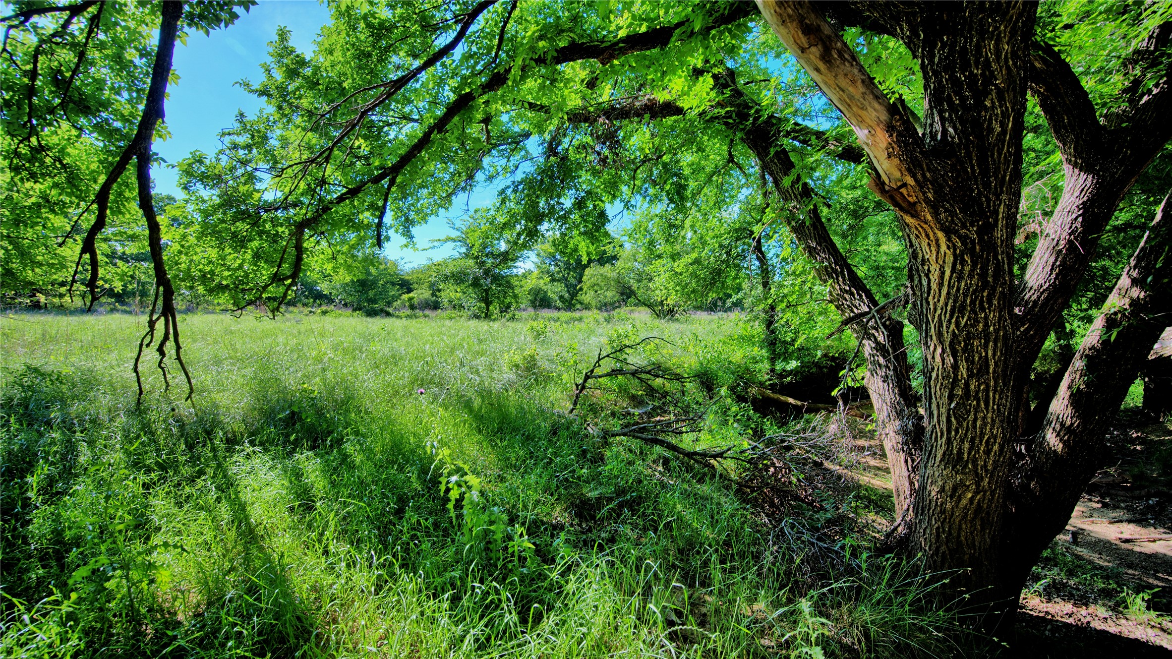 0000 Carpenter Nocona TX 76255