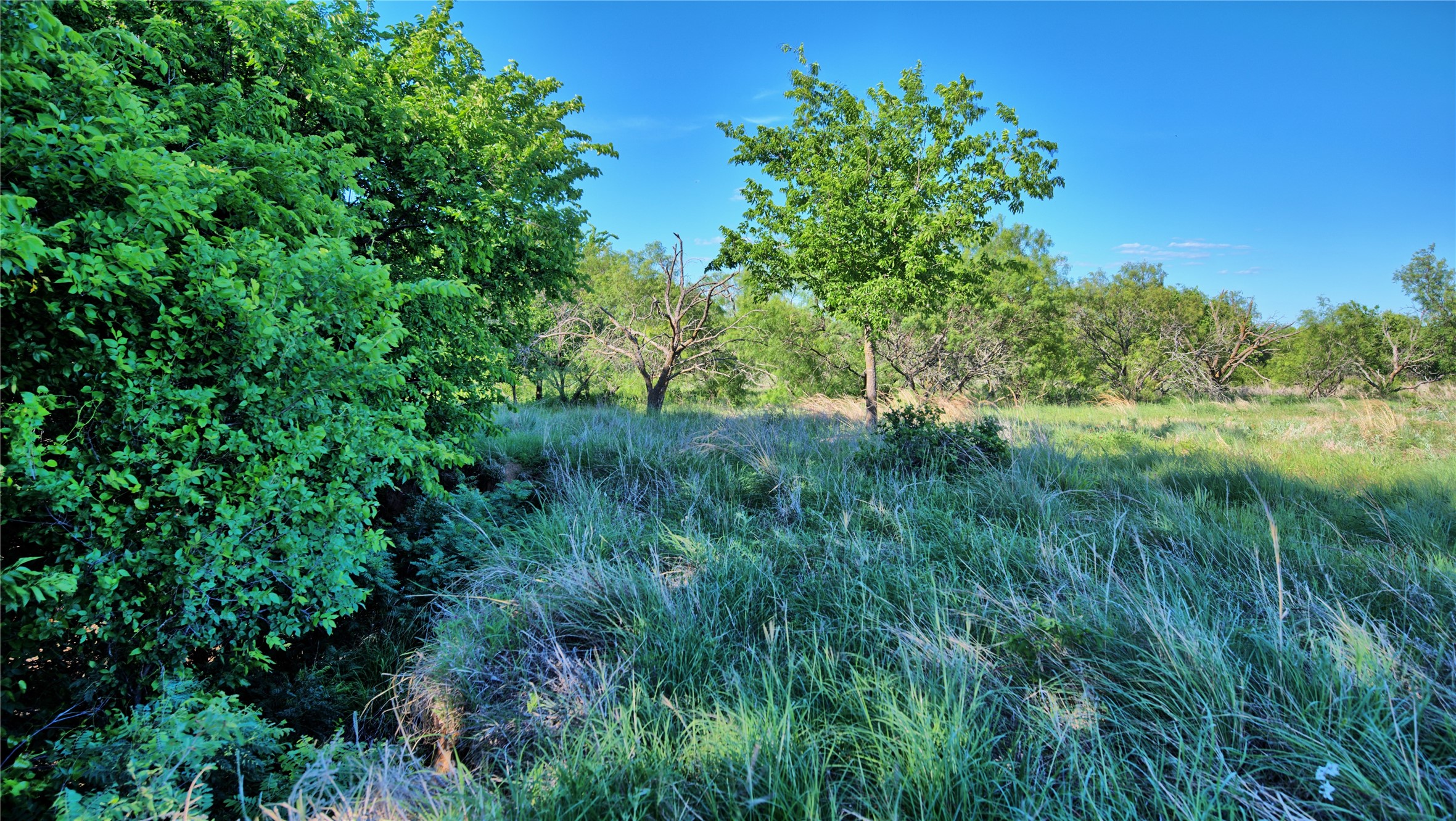 0000 Carpenter Nocona TX 76255