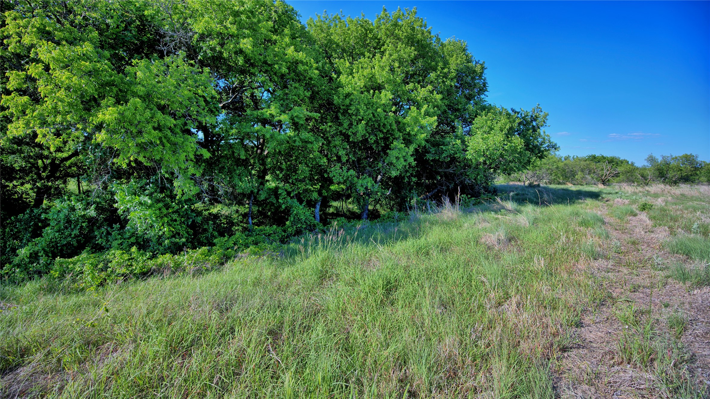 0000 Carpenter Nocona TX 76255