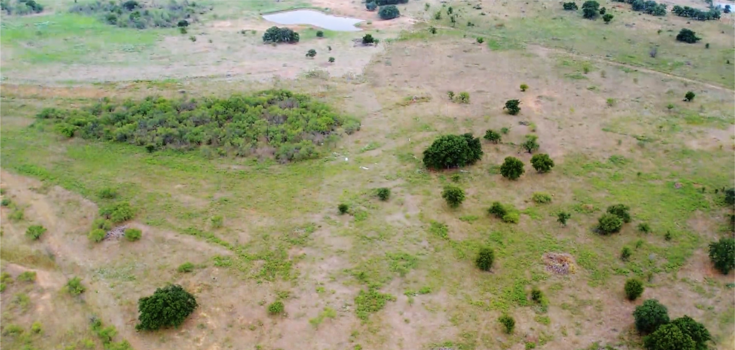 46.86 Acres Stewart Ranch Road Loving TX 76460