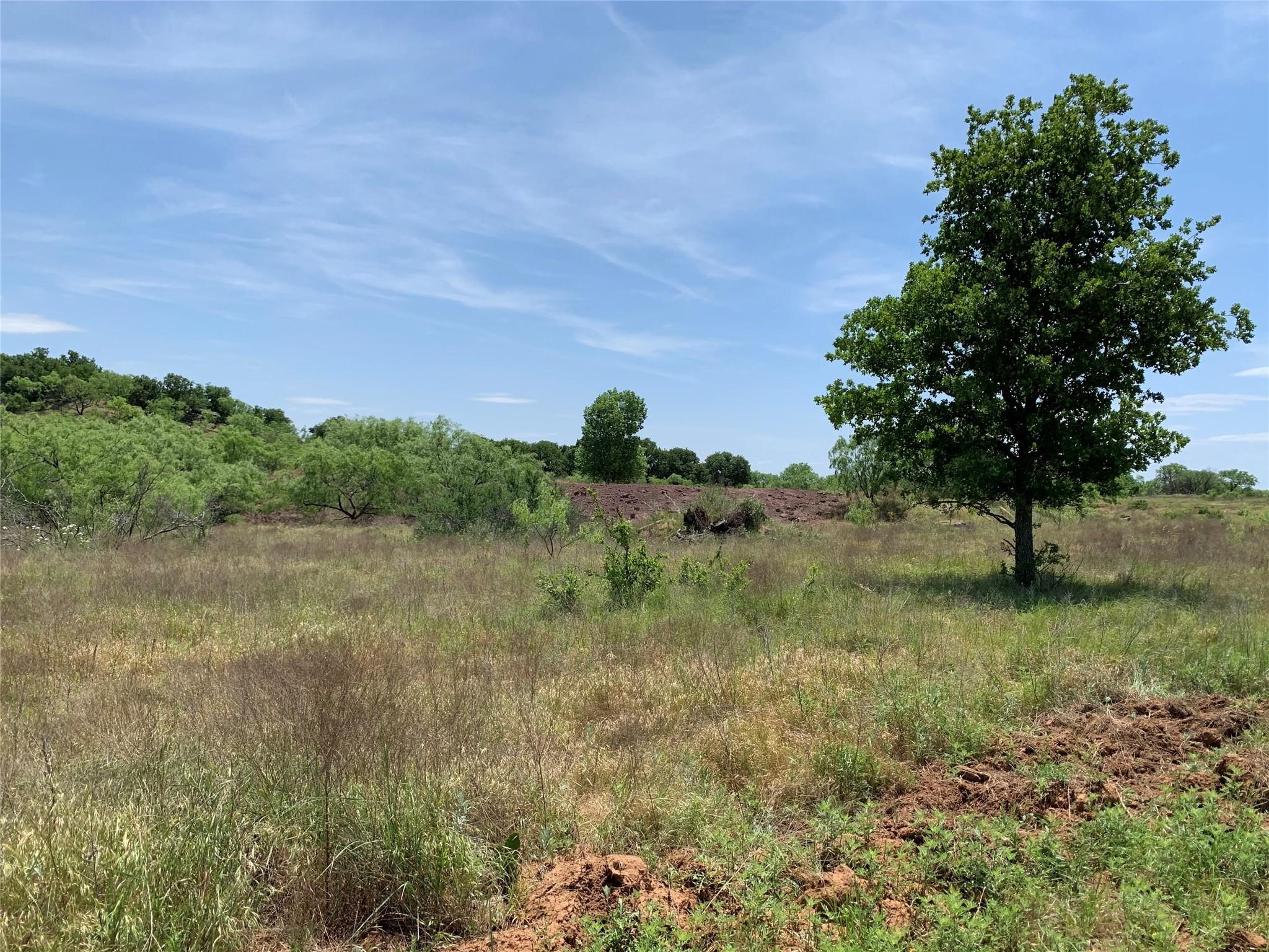 46.86 Acres Stewart Ranch Road Loving TX 76460