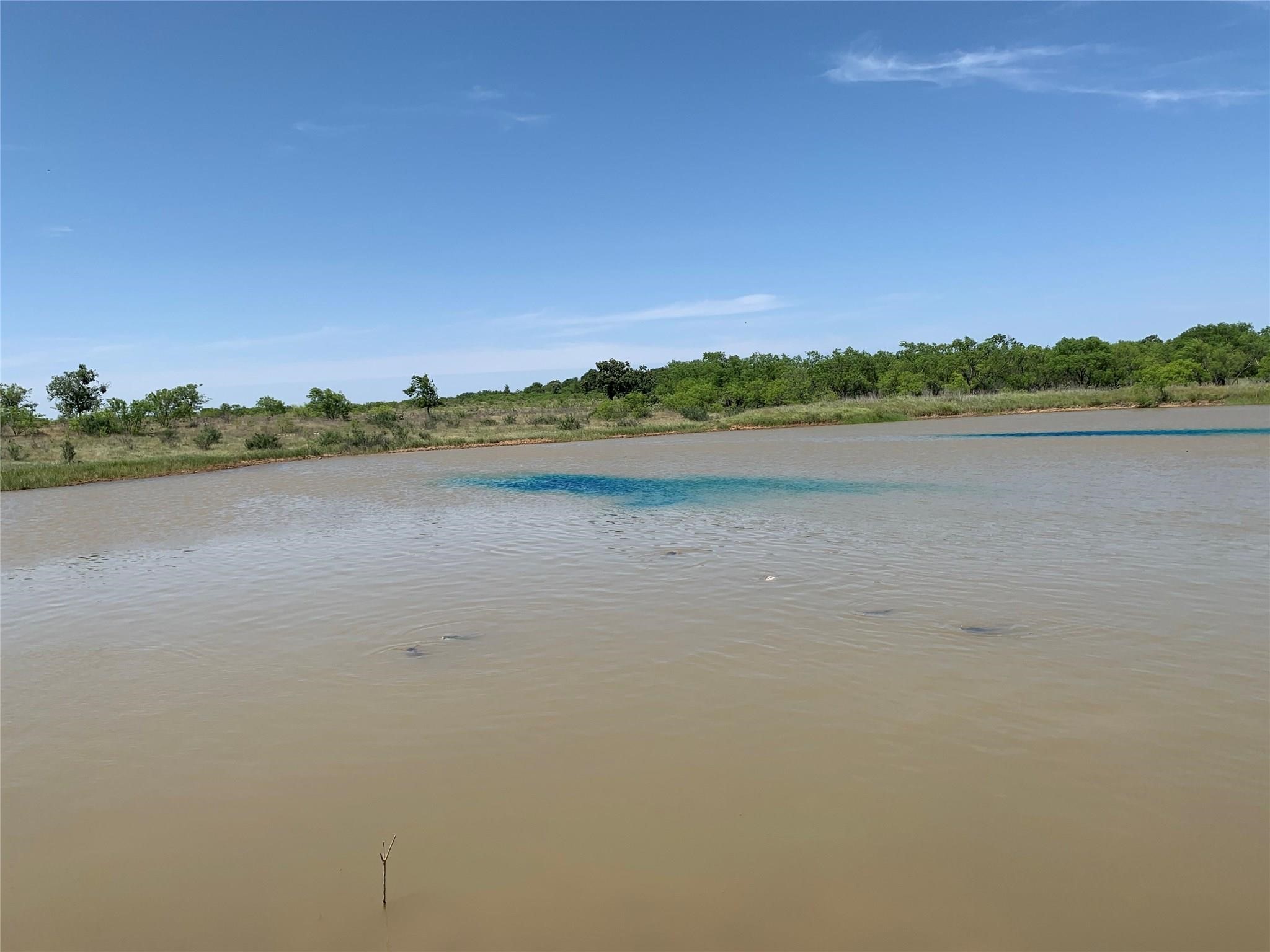 46.86 Acres Stewart Ranch Road Loving TX 76460