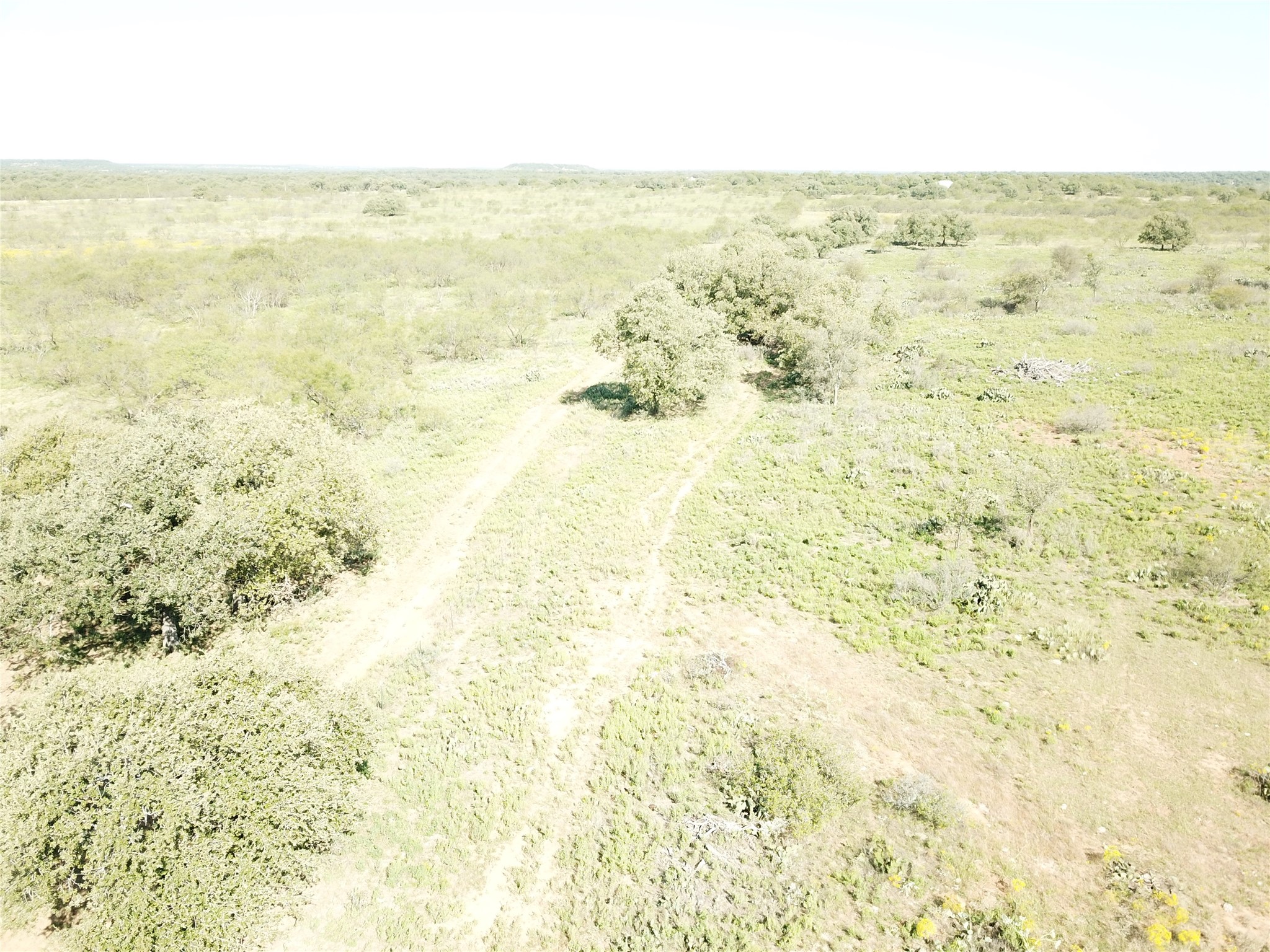 46.86 Acres Stewart Ranch Road Loving TX 76460