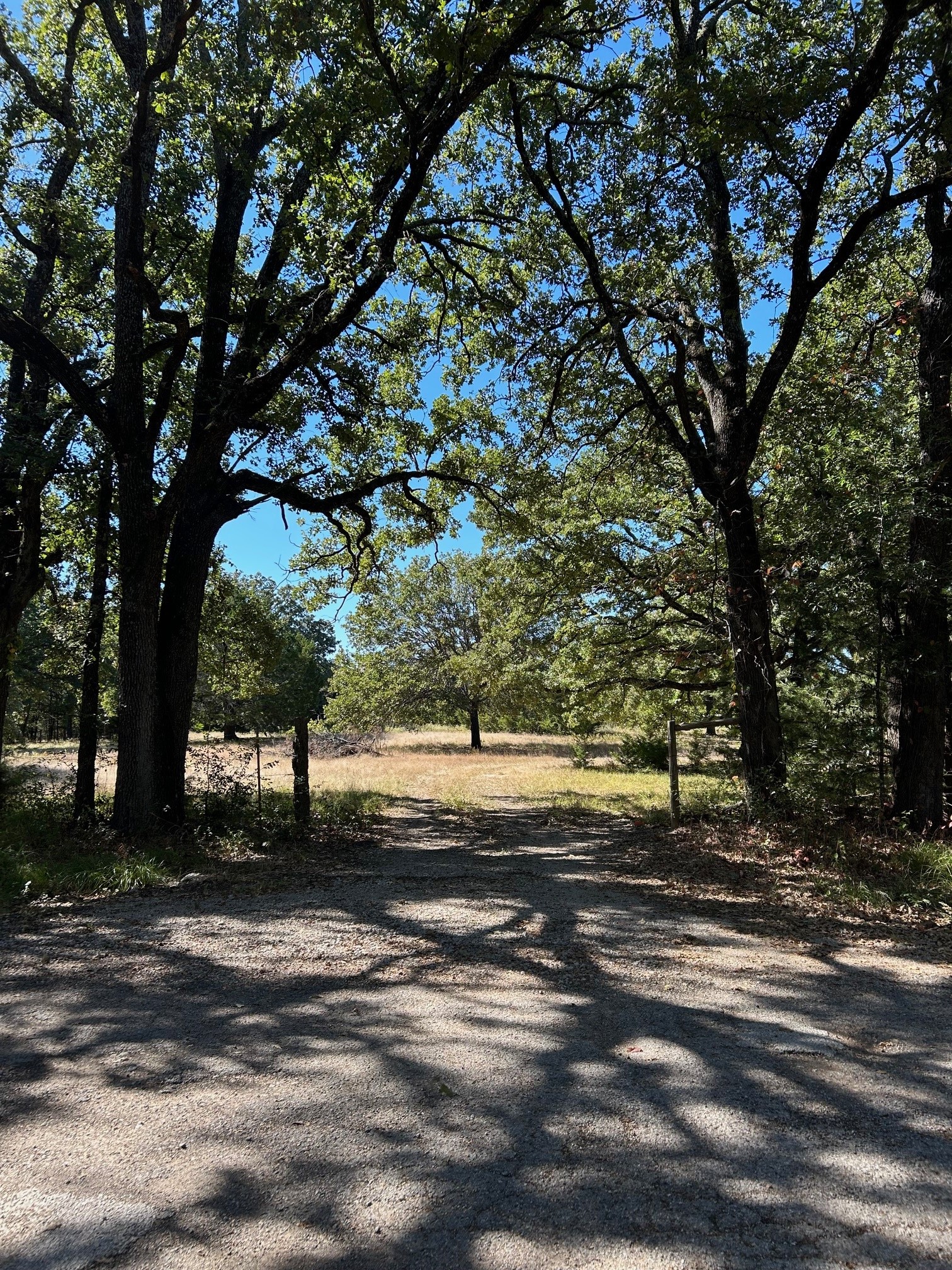 1120 Killian Drive West Tawakoni TX 75474
