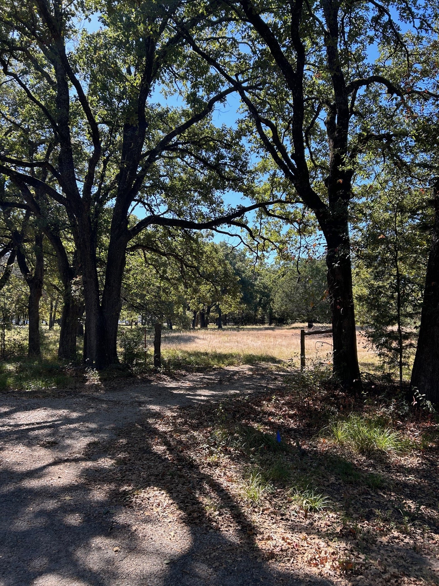 1120 Killian Drive West Tawakoni TX 75474