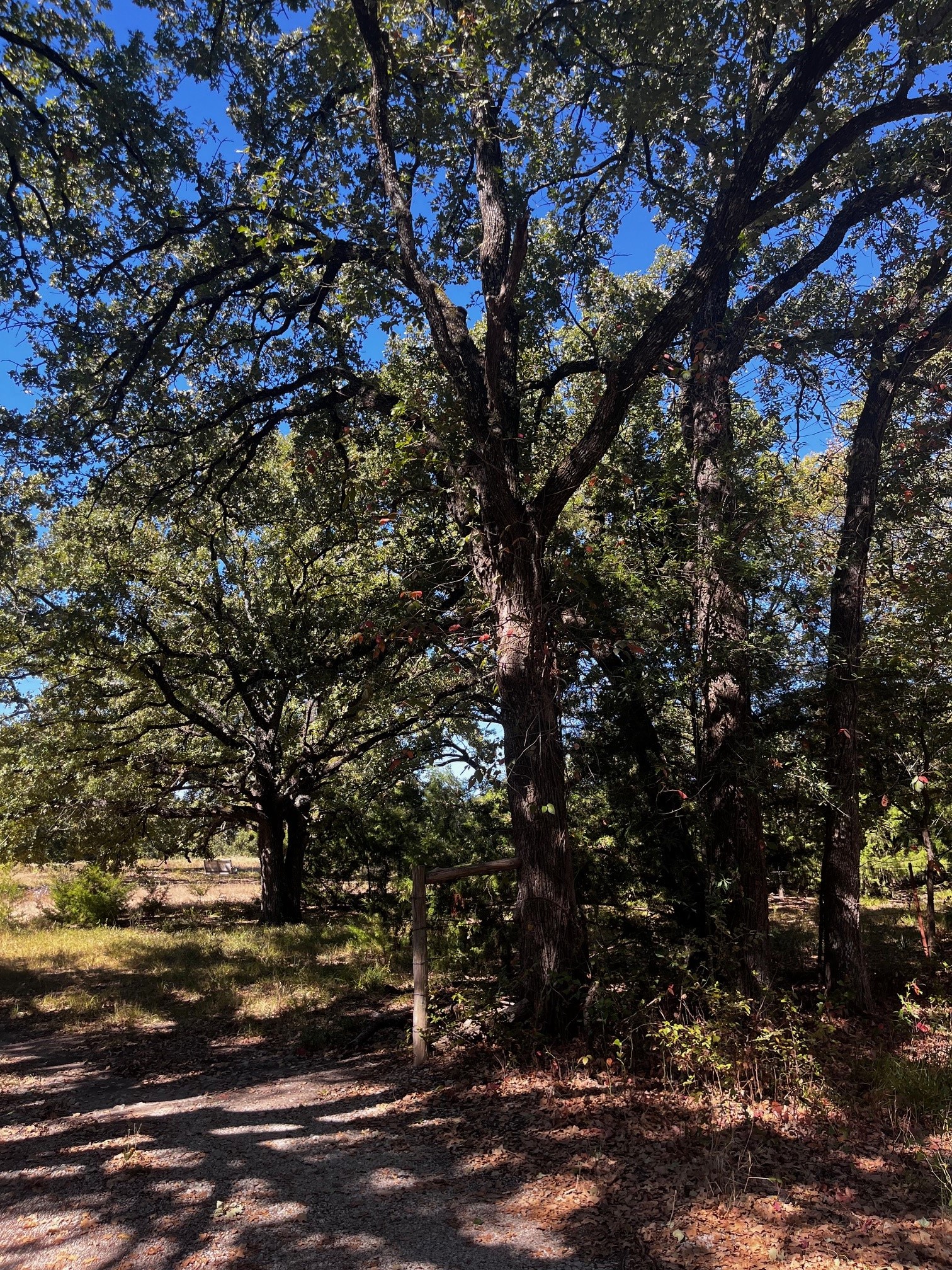 1120 Killian Drive West Tawakoni TX 75474