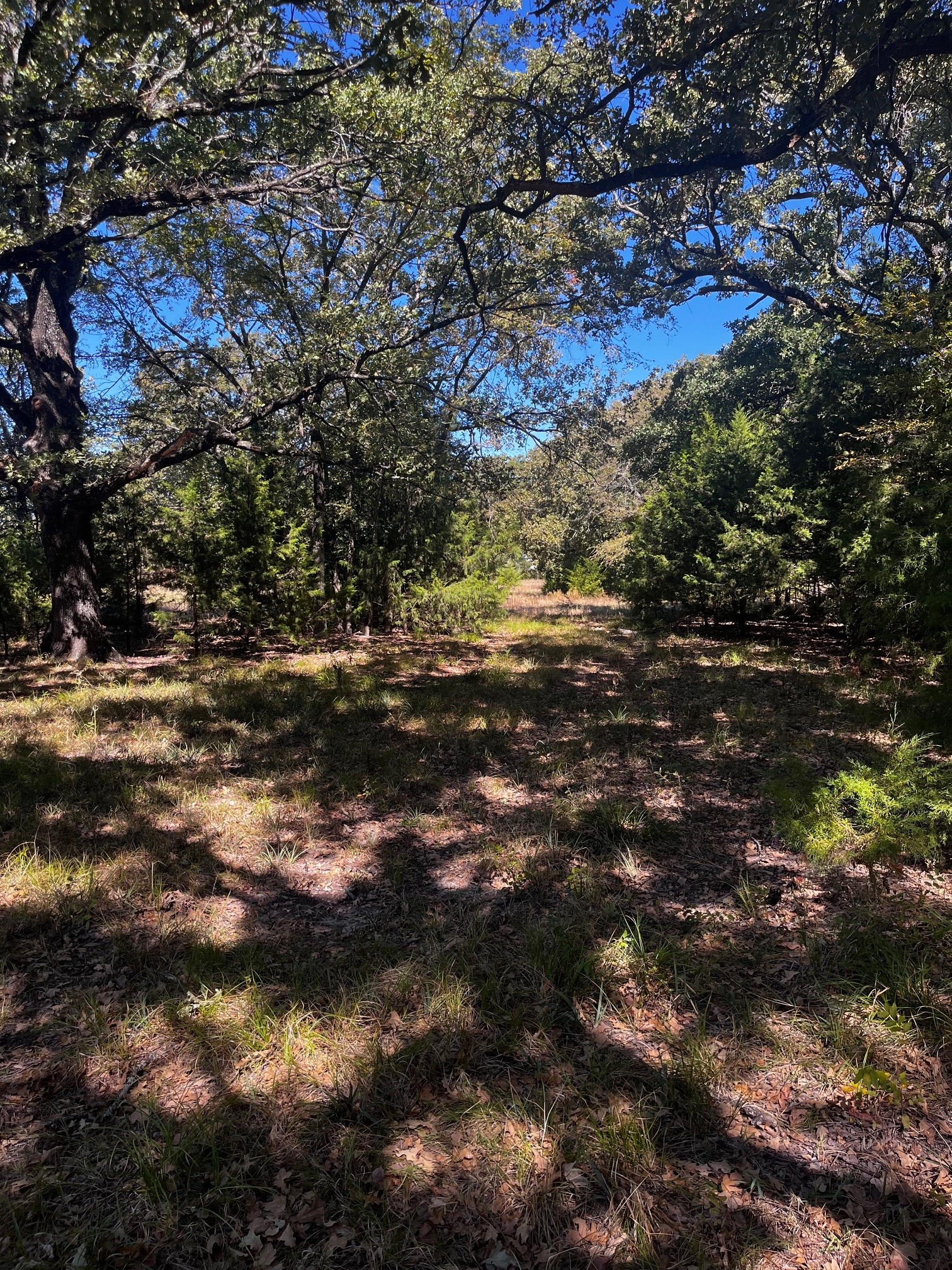 1120 Killian Drive West Tawakoni TX 75474