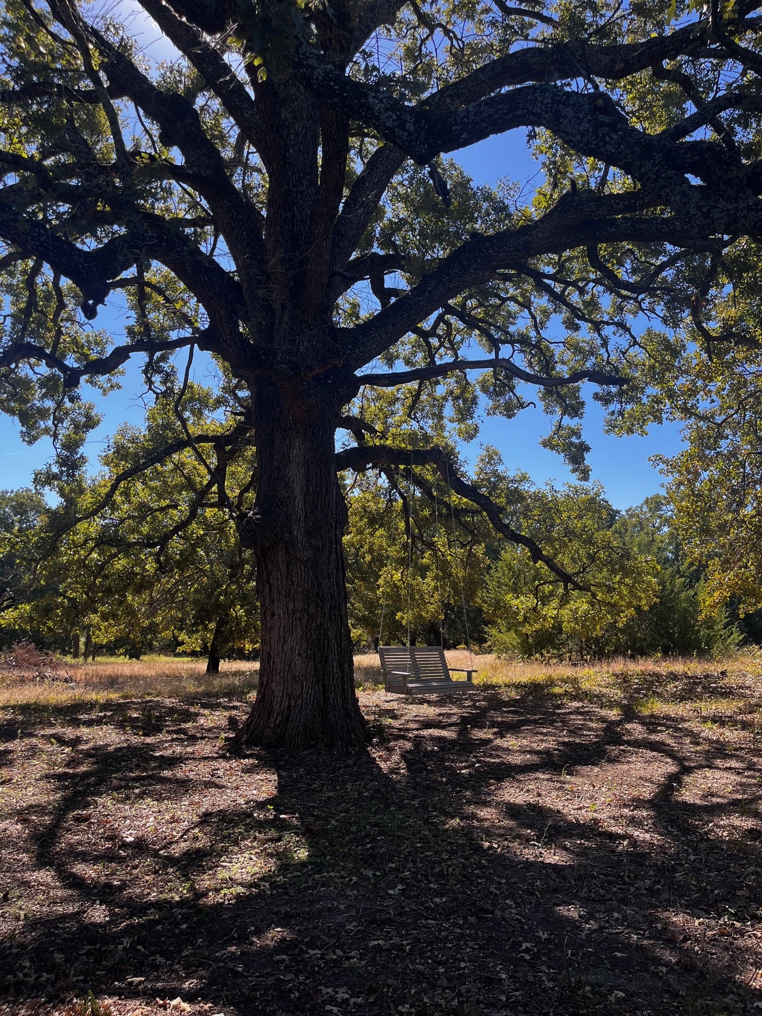1120 Killian Drive West Tawakoni TX 75474