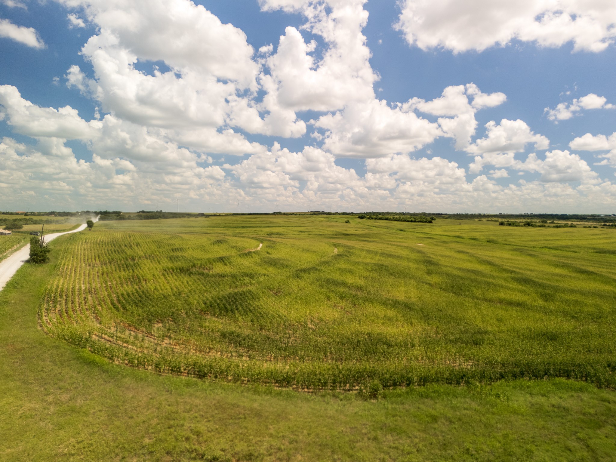11 Acres | Tbd County Road 3150 Hubbard TX 76648
