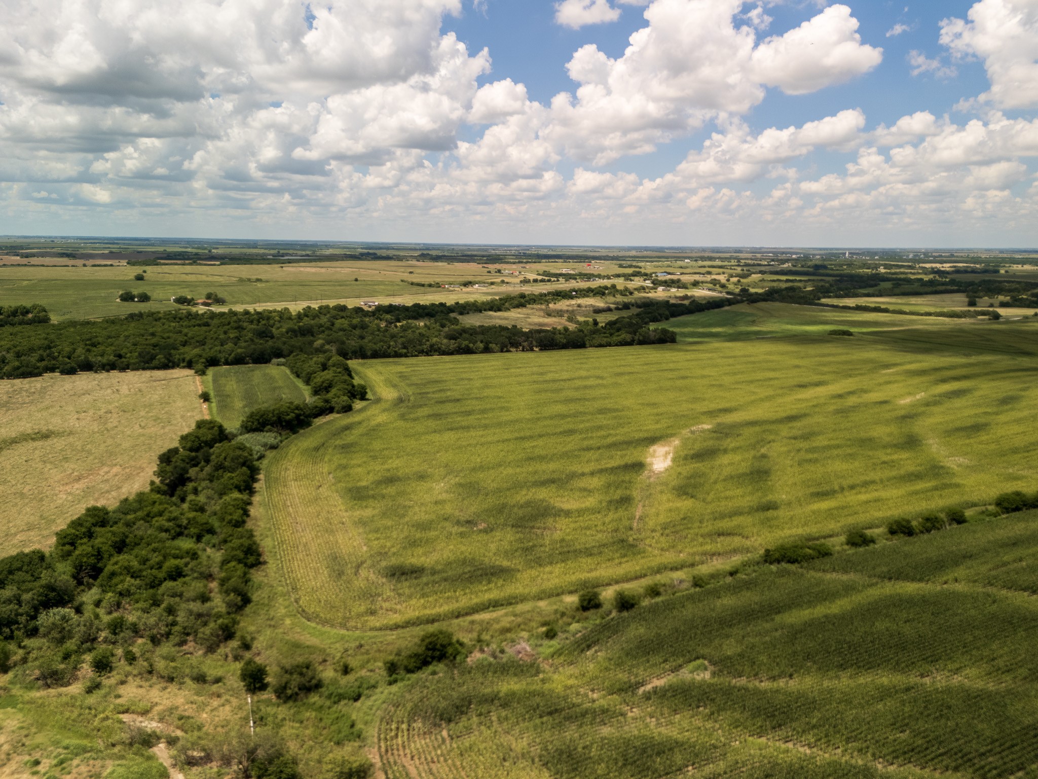 11 Acres | Tbd County Road 3150 Hubbard TX 76648