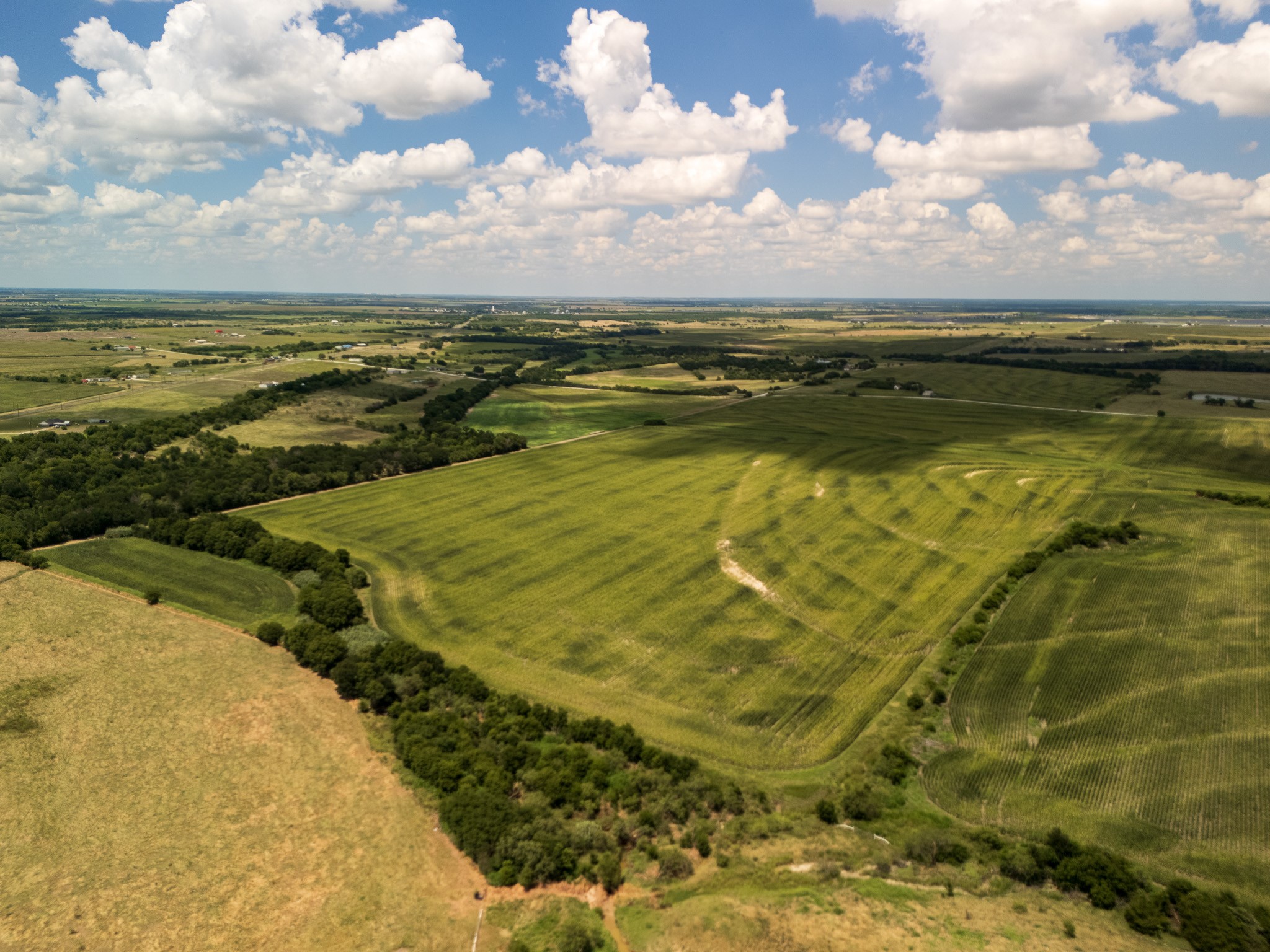 11 Acres | Tbd County Road 3150 Hubbard TX 76648