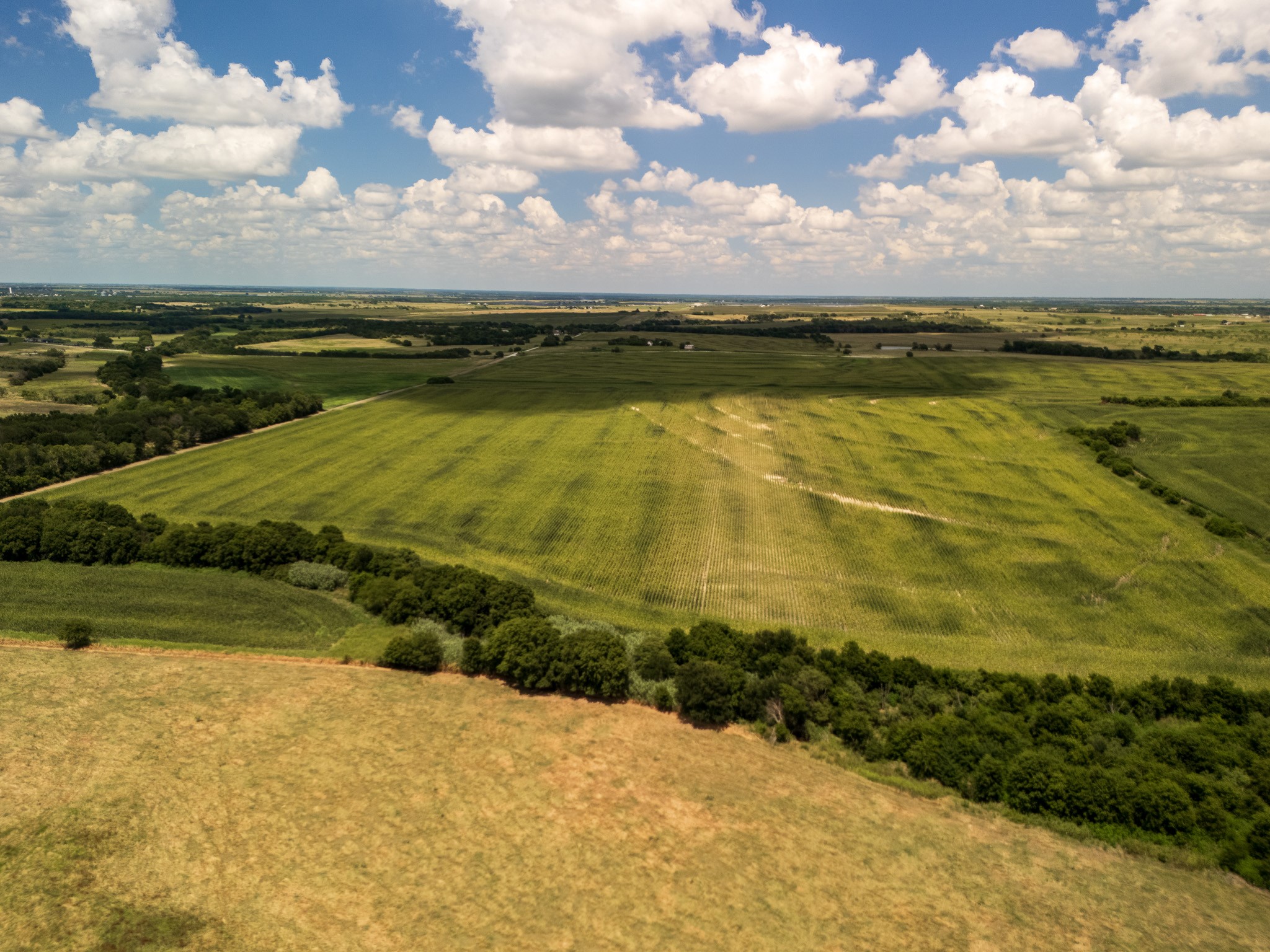 11 Acres | Tbd County Road 3150 Hubbard TX 76648