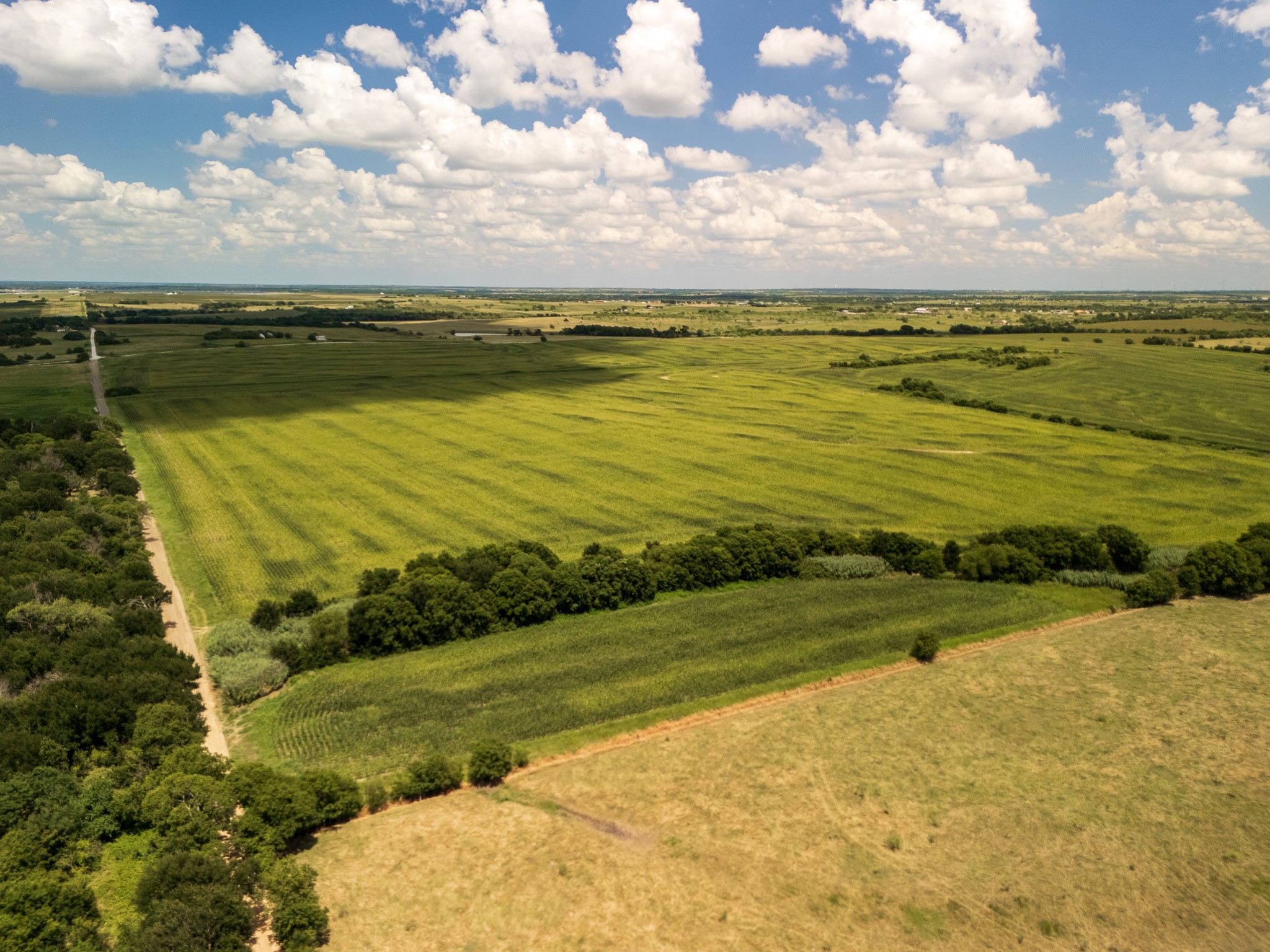 11 Acres | Tbd County Road 3150 Hubbard TX 76648