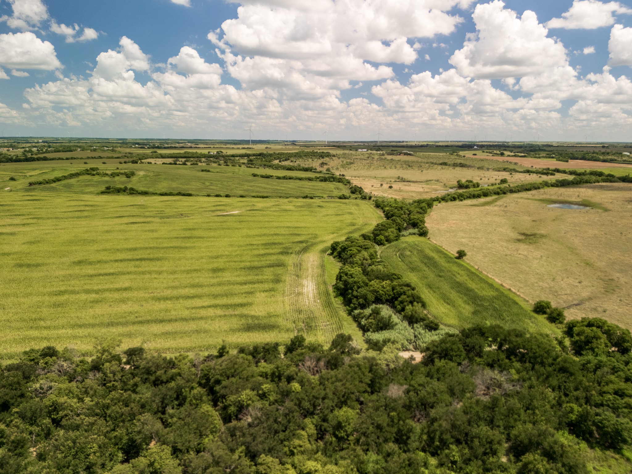 11 Acres | Tbd County Road 3150 Hubbard TX 76648