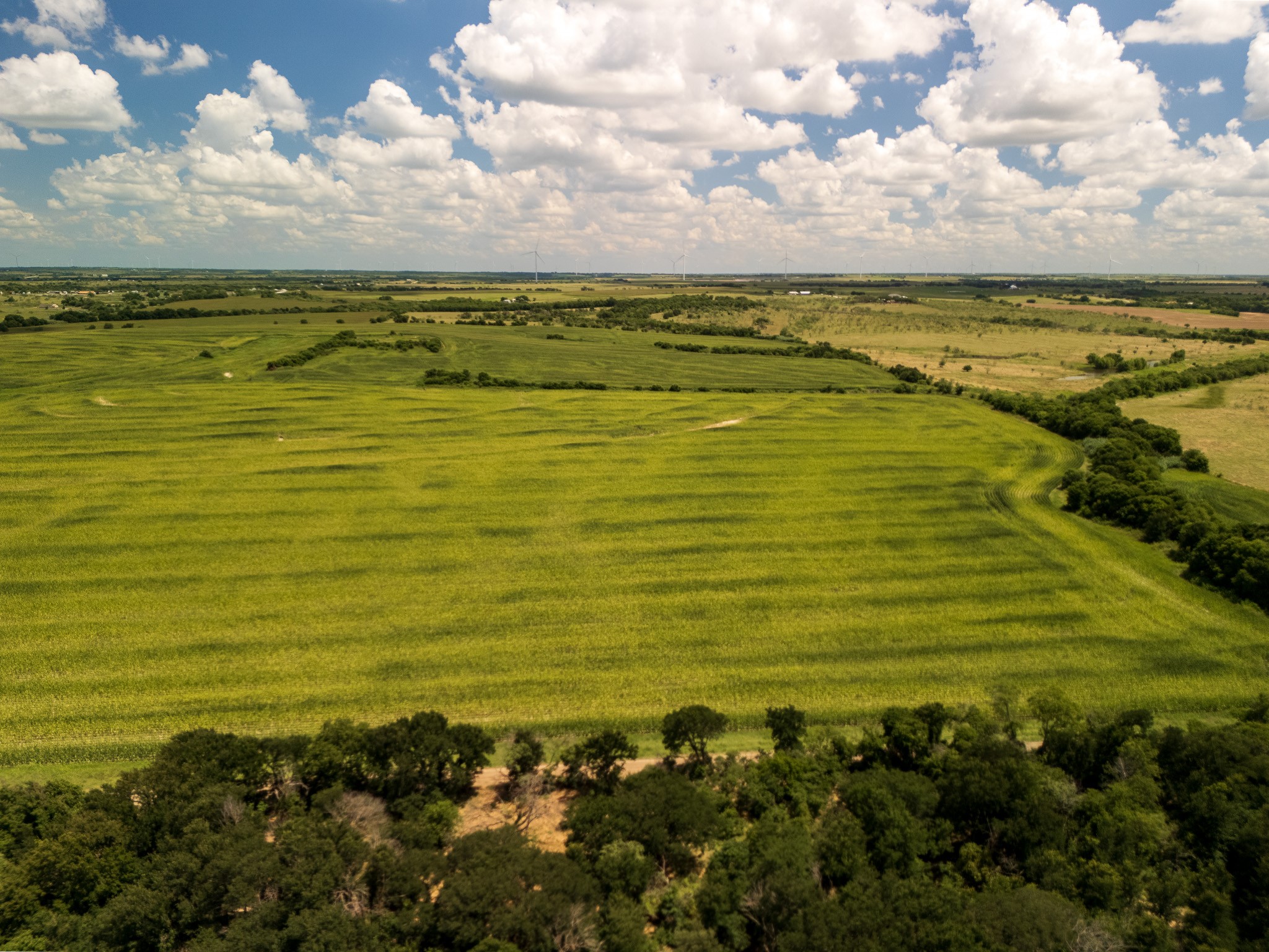 11 Acres | Tbd County Road 3150 Hubbard TX 76648