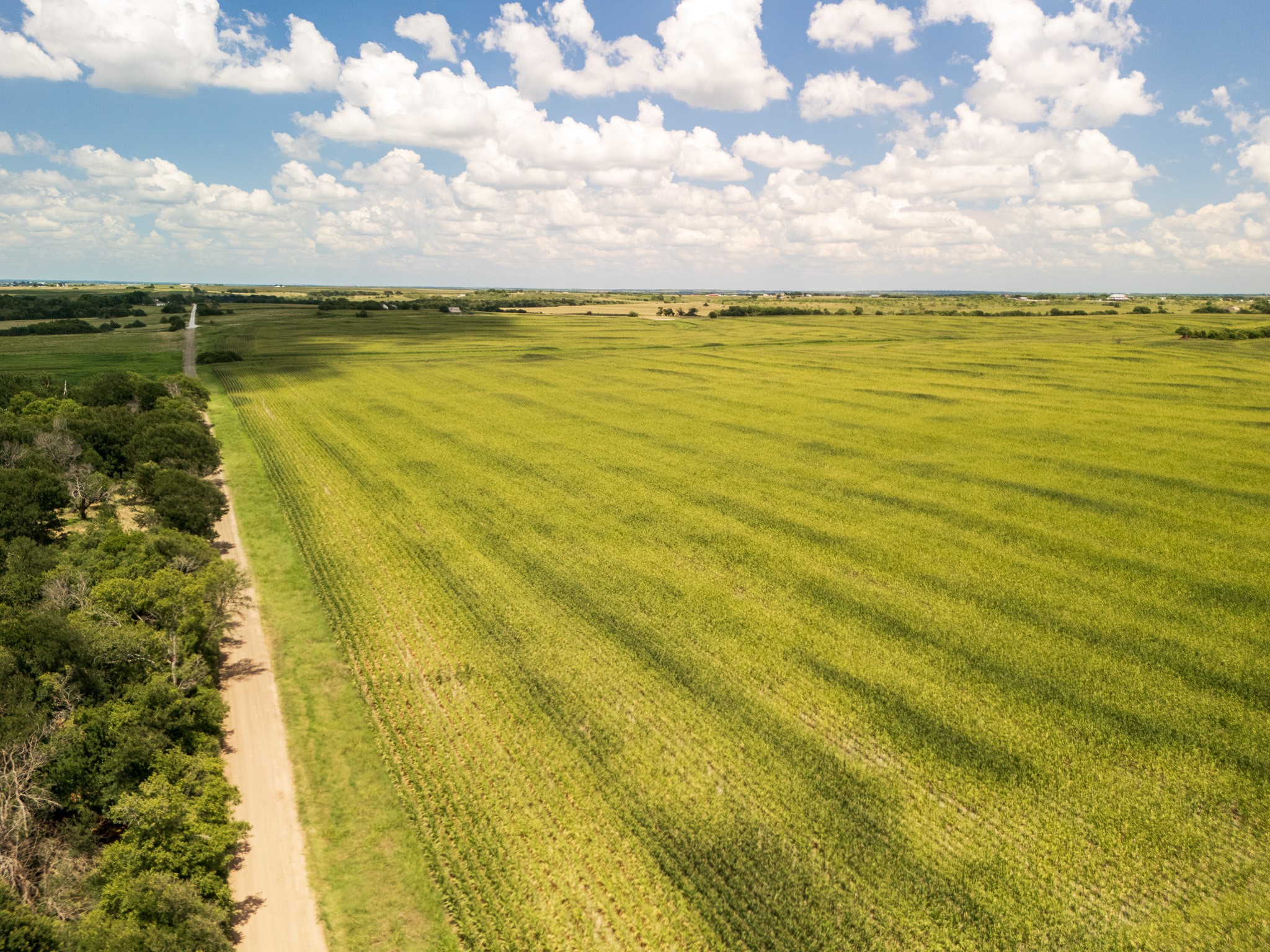 11 Acres | Tbd County Road 3150 Hubbard TX 76648