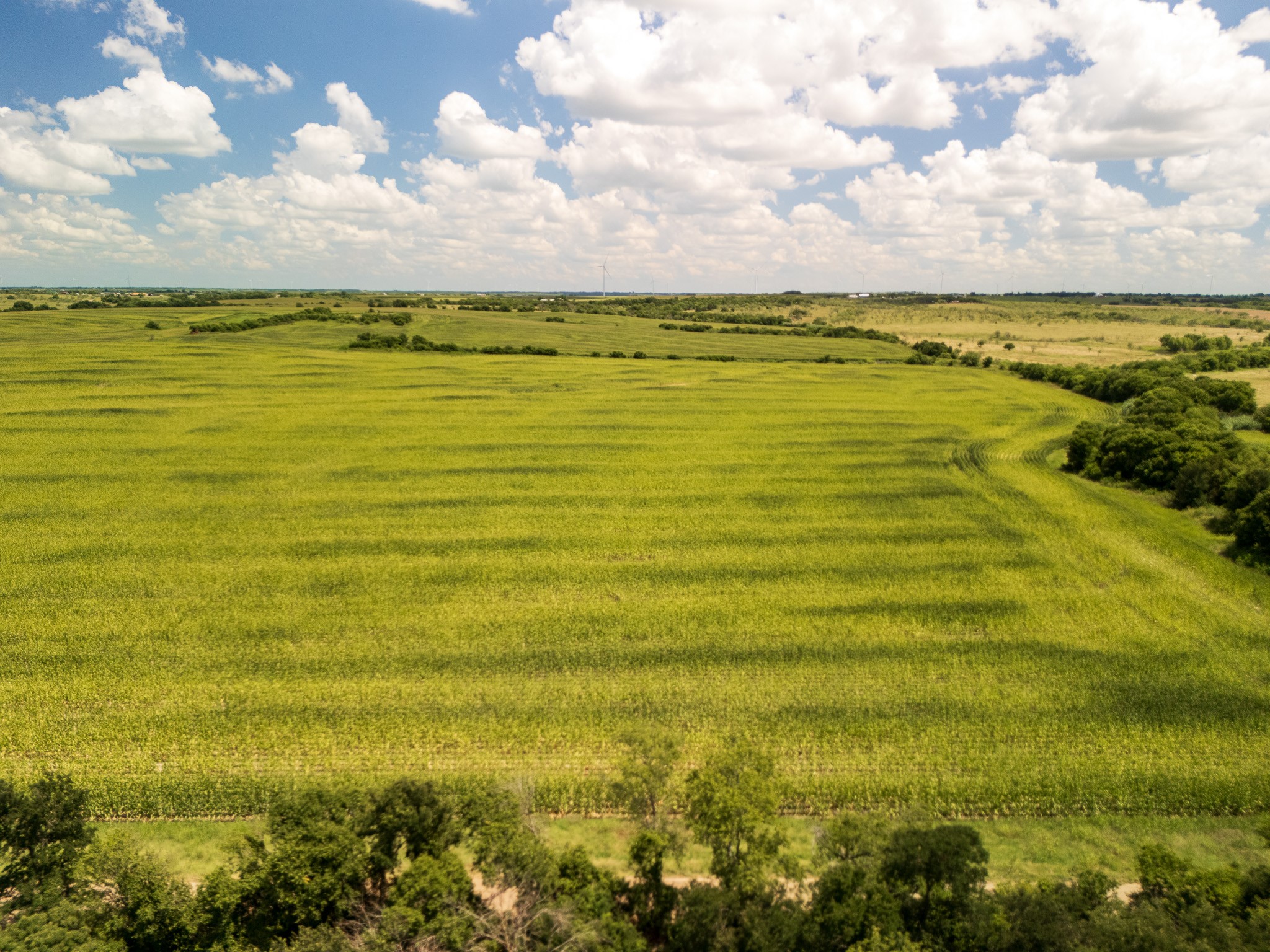 11 Acres | Tbd County Road 3150 Hubbard TX 76648