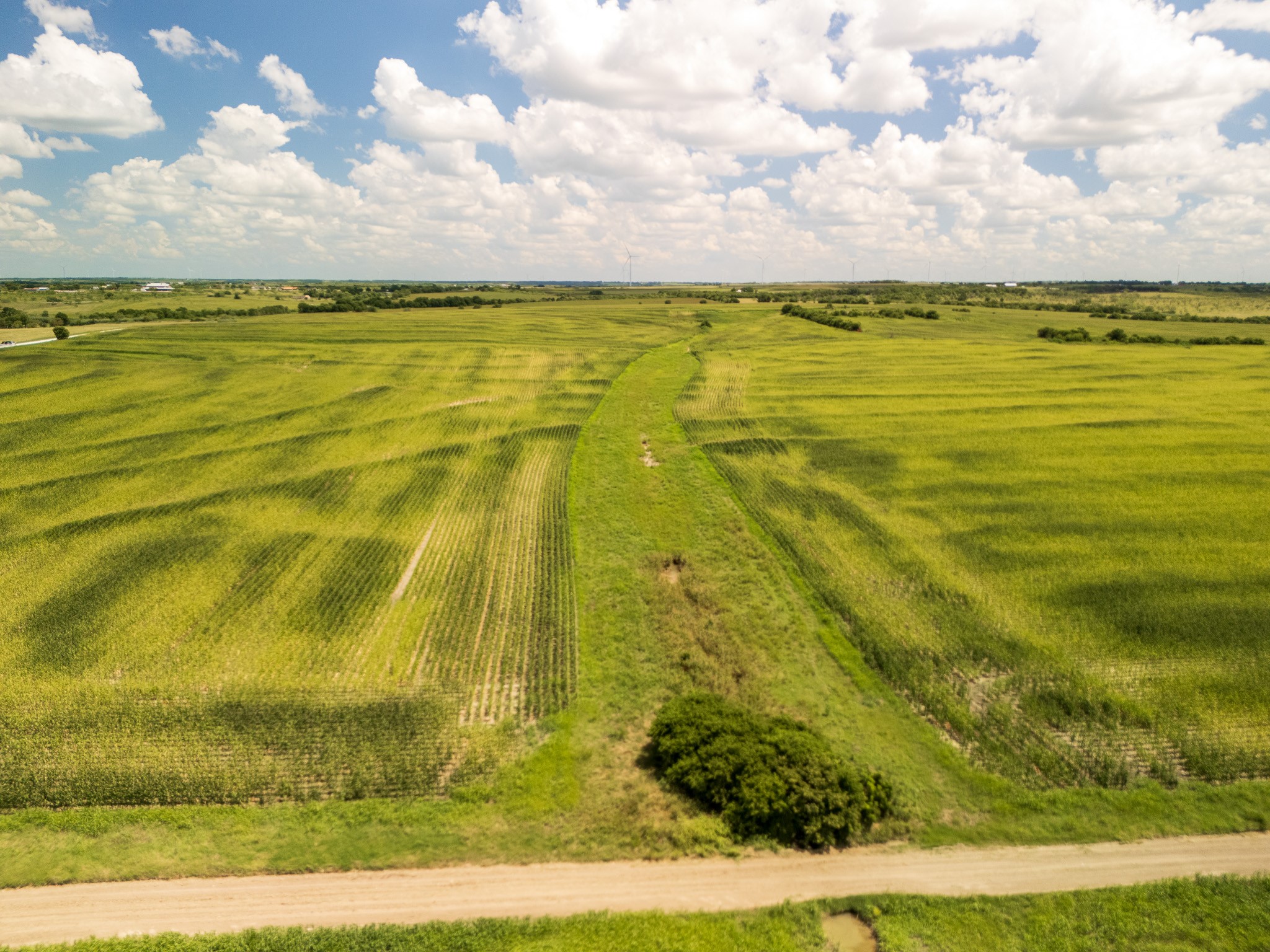 11 Acres | Tbd County Road 3150 Hubbard TX 76648