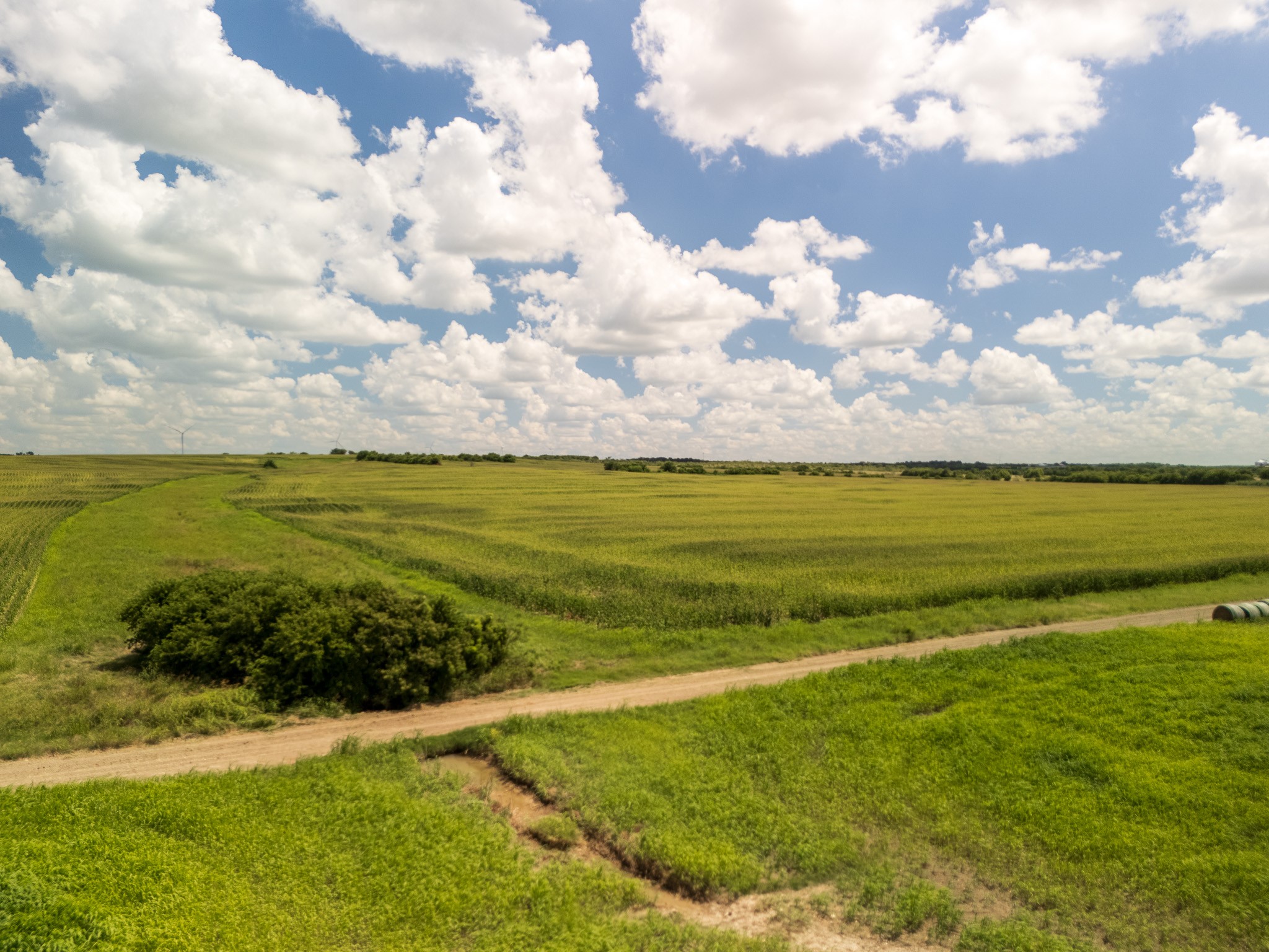11 Acres | Tbd County Road 3150 Hubbard TX 76648