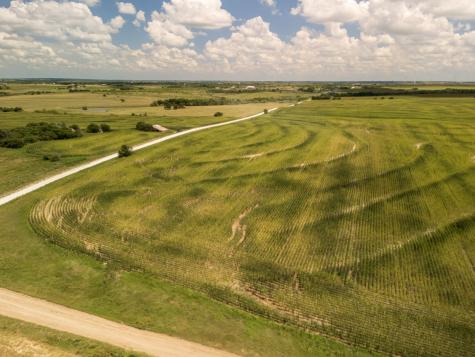 11 Acres | TBD County Road 3150 Hubbard TX 76648