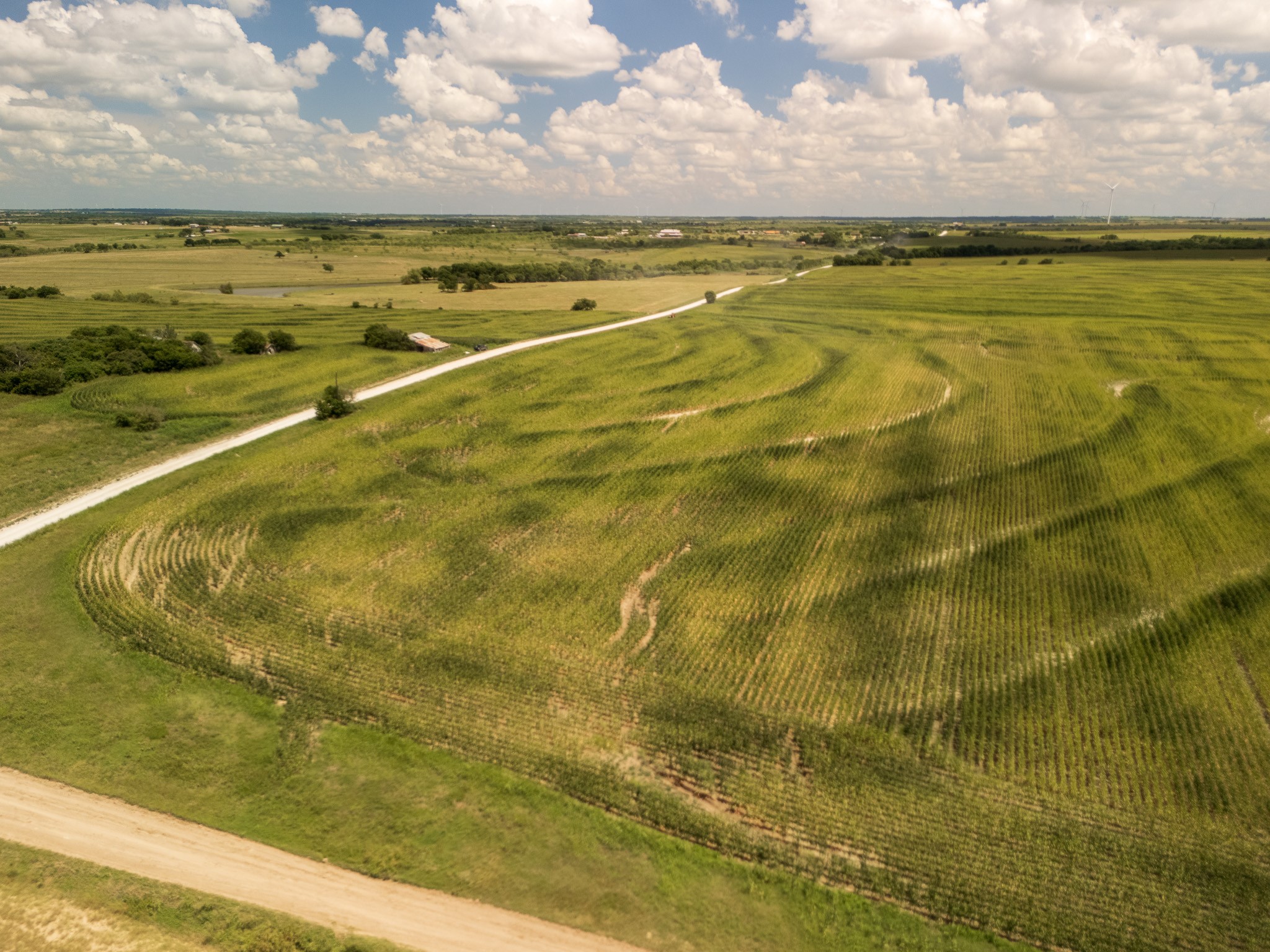 11 Acres | Tbd County Road 3150 Hubbard TX 76648