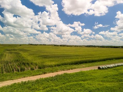 11 Acres | Tbd County Road 3150 Hubbard TX 76648