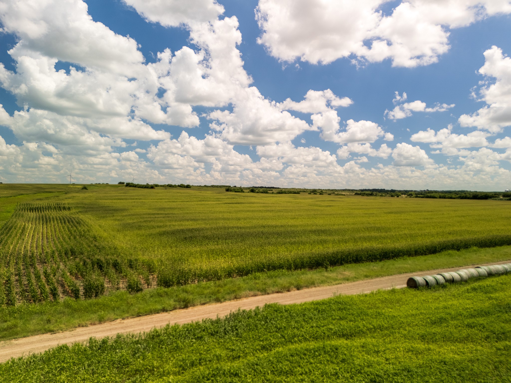11 Acres | Tbd County Road 3150 Hubbard TX 76648