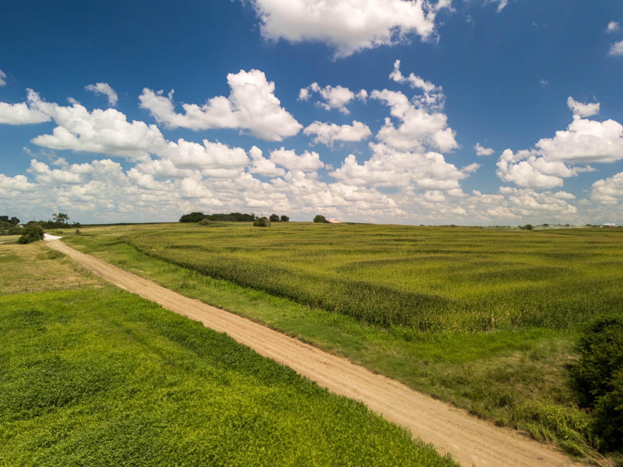11 Acres | Tbd County Road 3150 Hubbard TX 76648